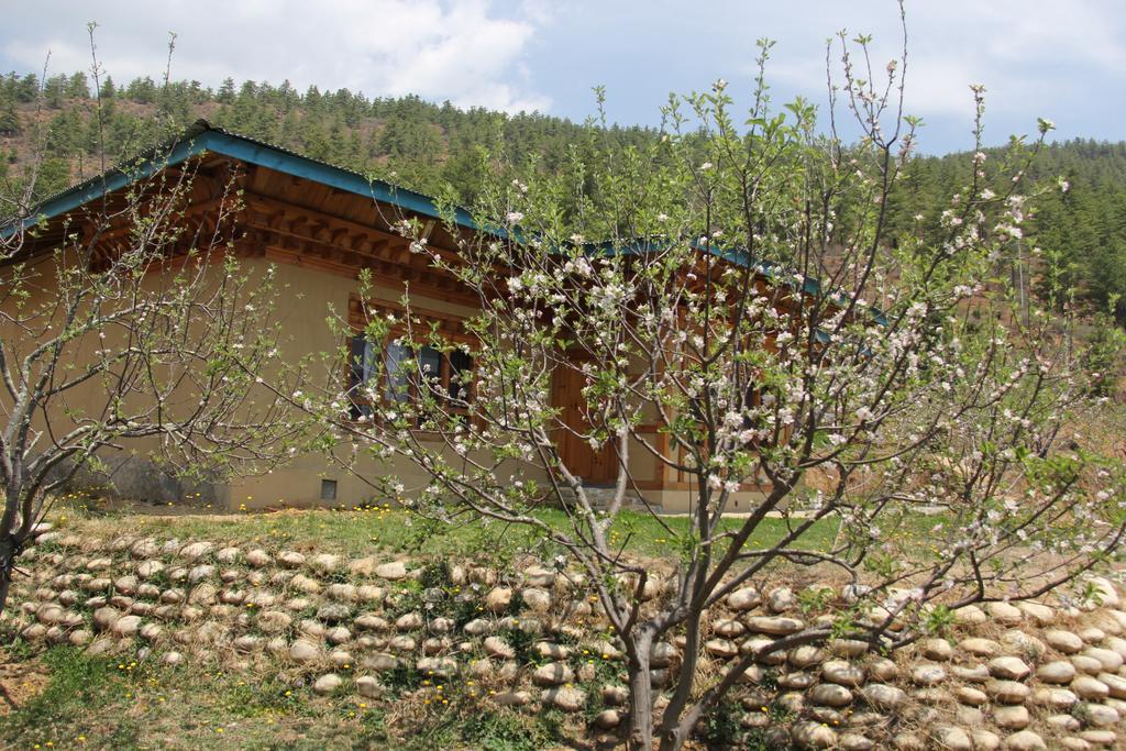 Rema Resort Paro Kamer foto